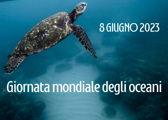 8 giu giornata mondiale oceani.png